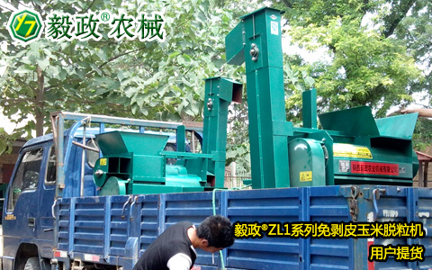 陜西毅政農業(yè)機械有限公司,毅政,免剝皮,玉米脫粒機,發(fā)貨照片