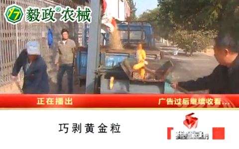 中央電視臺10套《我愛發(fā)明》之“巧剝黃金?！卑l(fā)明人袁毅