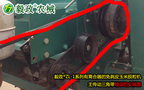 毅政牌ZL1系列有離合器的免剝皮玉米脫粒機(jī)，主傳動三角帶錯誤安裝